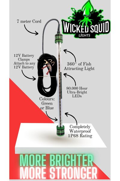 Jiggingturkey Wicked Squid Light Kalamar ve balık av ışığı