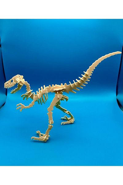 asya butik 3D Dinosaur Puzzle Set - Velociraptor Skeleton Puzzle, Jurassic Park Theme