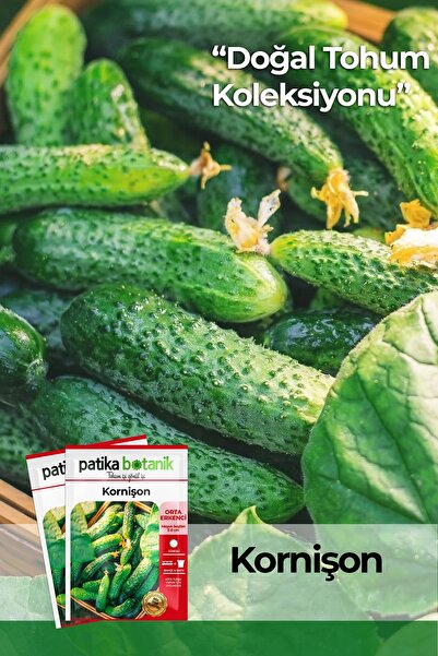Patika Botanik 100 Adet Kornişon Salatalık Tohumu ( Turşuluk)