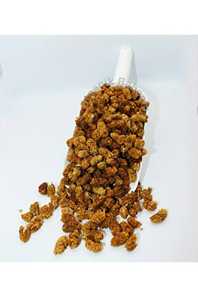 ORGANİK BAHÇEM Dut Kurusu Yeni Mahsul 1000g