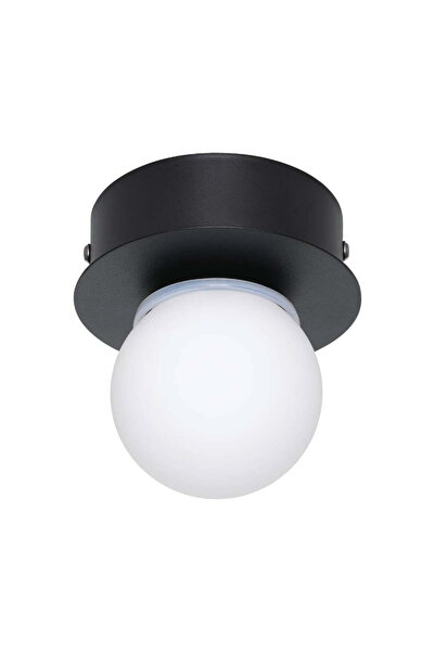 Eglo 900659 "MOSIANO" Çelik Siyah Duvar Tavan Armatürü Ip44