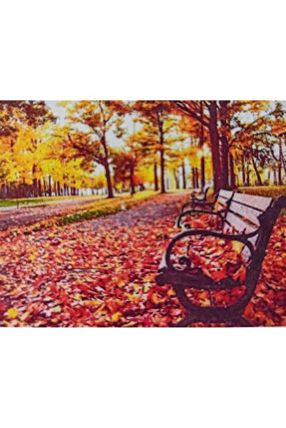 MENTAŞ Boncuklu Goblen 5d Taşlı Mozaik Elmas Goblen Diamond Picture Kıt 30x40...