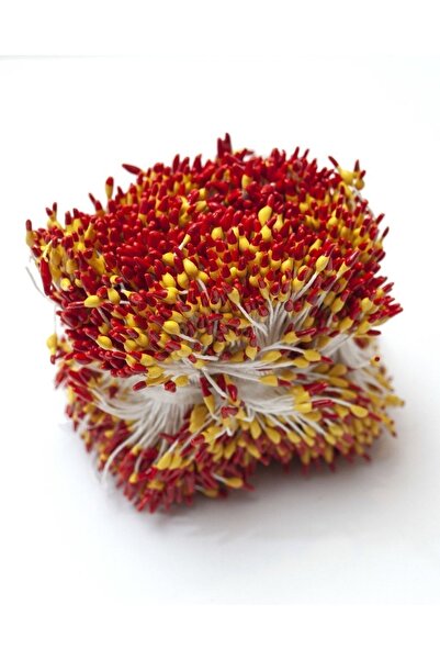 roco paper Double Color Plastic Seed - Yellow & Red (20 Pieces Vineyard)