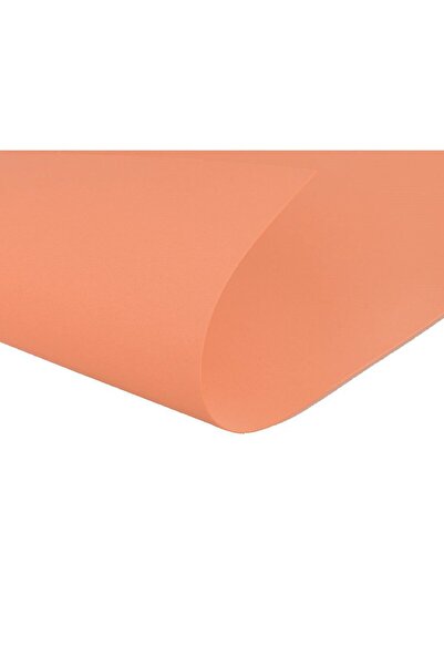 roco paper Çiçek Yapım Eva 2 mm. 50x70 cm - Somon