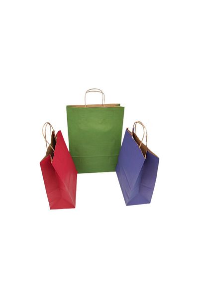 roco paper Christmas Large Paper Bag - Red Blue Green 3 Pieces 25X12X31 cm 31X12X41 cm