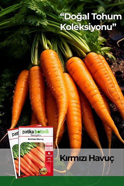 Patika Botanik 2000 Adet Yerli Kırmızı Havuç Tohumu