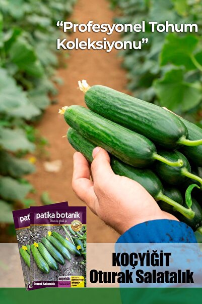 Patika Botanik 10 Adet Koçyiğit Salatalık Tohumu - Oturak