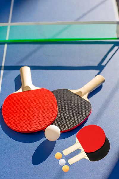 Vekorr Table Tennis Set - 2 Paddles, 3 Pins, No Mesh