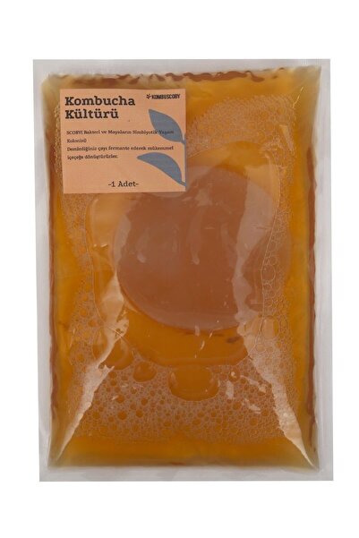 KombuScoby Kombucha Mantarı - Kombucha Kültürü - Kombucha Scoby - Kombu Çayı