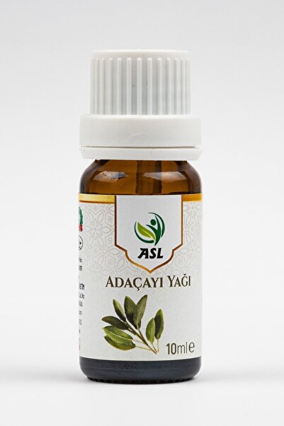 ASL زيت التفاح المر المريمية