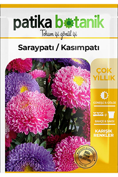 Patika Botanik 50 Adet Saray Patı (kasım Patı) Çiçek Tohumu