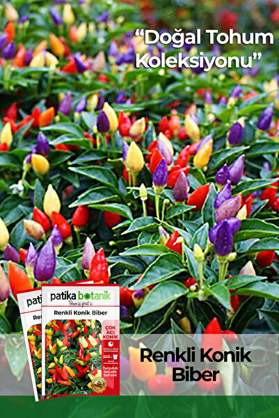 Patika Botanik 200 Adet Renkli Konik Biber Tohumu