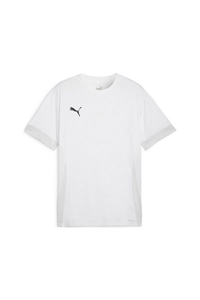 Puma Men's Daily Use Sports T-Shirt - Teamgoal Jersey, White, 70575204