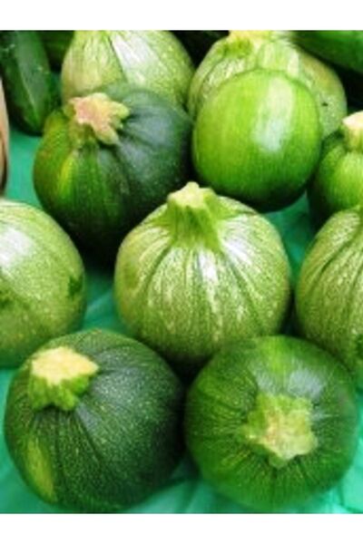 AGRODAL TARIM Ata Tohumu Yerli Doğal Topak Kara Kabak Tohumu Karatopak 20 Ad....