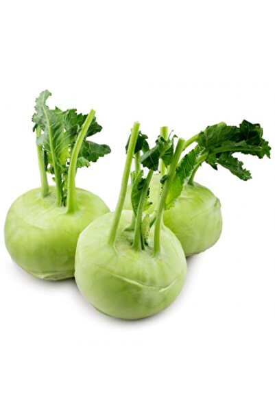 AGRODAL TARIM Yerli Doğal Kohlrabi Yer Lahanası Cehennem Topuzu Yeşil Alabaş Turpu 100 Adet Tohum