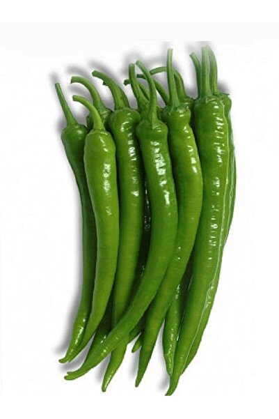 AGRODAL TARIM Ata Tohumu Yerli Doğal Acı Sivri Biber Tohumu Ilıcalı 100 Ad. S...