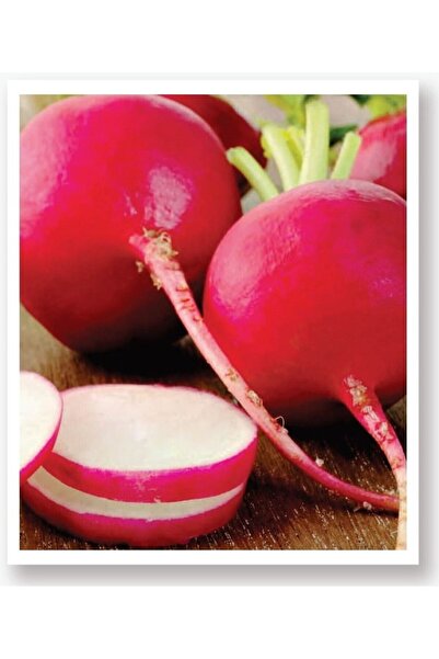 AGRODAL TARIM Ata Tohumu Yöresel Yerli Doğal Kırmızı Antep Turp 500 Adet Tohum