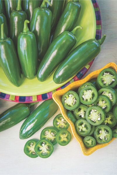 AGRODAL TARIM Doğal Meksika Biberi Jalapeno Acı Biber 100 Adet Sebze Tohumu