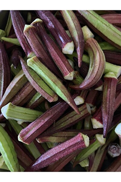 AGRODAL TARIM Ata Tohumu Yerli Doğal Kınalı Bamya Tohumu 100 Ad. Sebze Tohumu