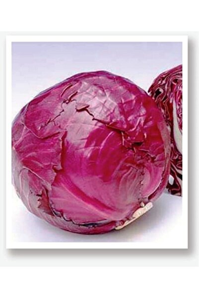 AGRODAL TARIM Yerli Doğal Kara Mor Lahana Mohrenkopf 100 Adet Tohum