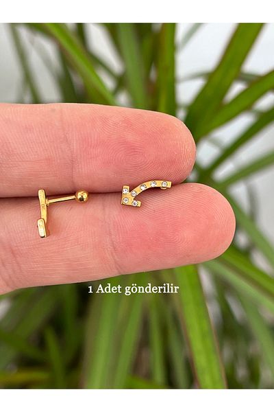 Karınca Piercing Retro Arrow Jewelled Ear Flat Forward Helix Conch Lip Tragus Piercing Earring (Ant Tattoo)