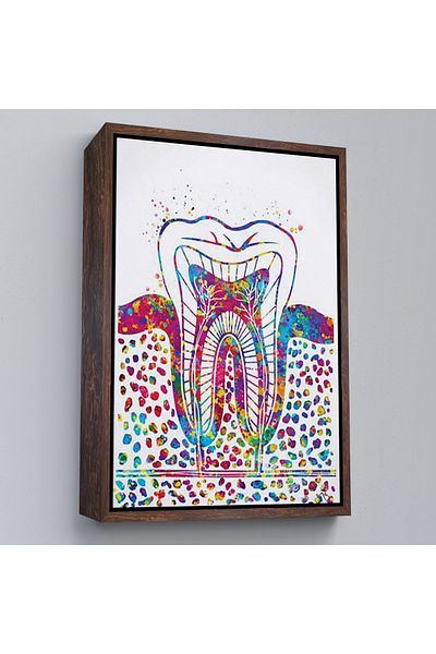 Harita Sepeti Dentă colorată înrămată, tablou de perete pentru dentist-6300