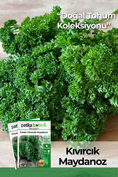 Patika Botanik 2500 Adet Frenk / Kıvırcık Maydanoz Tohumu