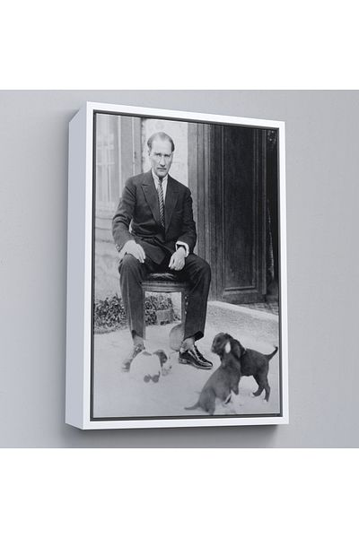 Harita Sepeti Pictură portret Ataturk înrămată Mustafa Kemal Atatürk Pictură decorativă pe pânză dreptunghiulară-55
