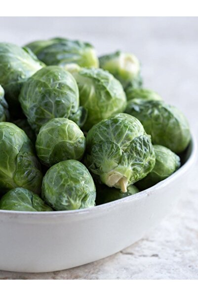 AGRODAL TARIM Yerli Doğal Mini Lahana Brüksel 100 Ad. Tohum