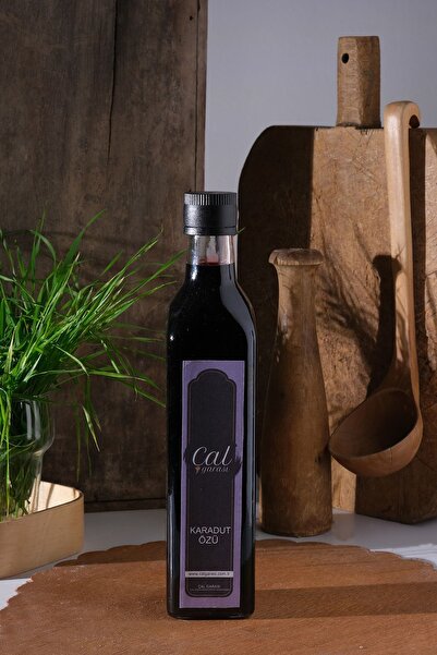 karadut özü 700ml