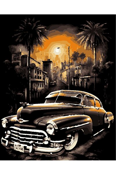 Lamba Cini Sayılarla Boyama Kasnaklı Tablo Seti Fırça Boya Dahil 40x50 Siyah ...