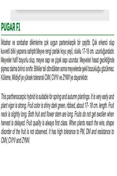 AGRODAL TARIM Hibrit Asma Taze Hıyar Salatalık Pugar-f1 10 Adet Tohum