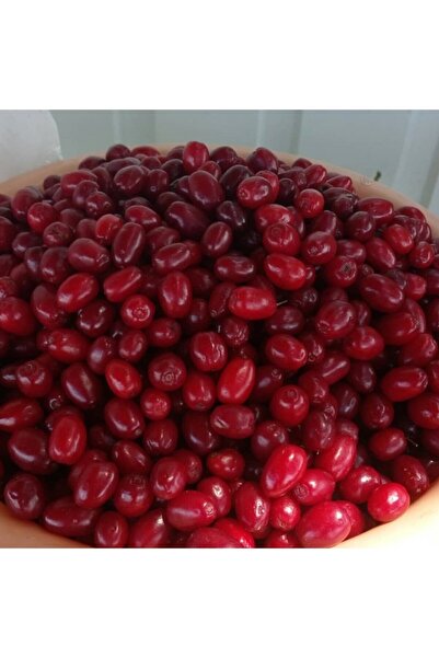 ŞİFAGIDA Kizilcik Kurusu 500gr Ev Yapimi