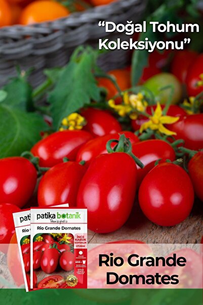 Patika Botanik 200 Adet Rio Grande (bursa, Salçalık) Domates Tohumu