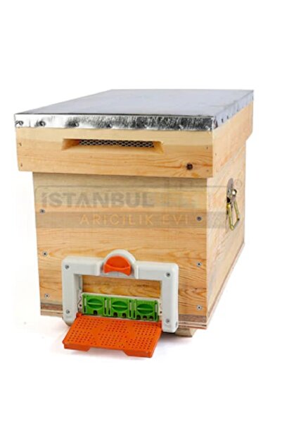 istanbul petek arı kovanı ruşet model