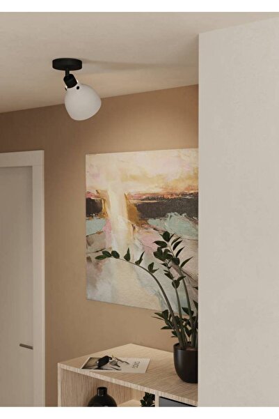 Eglo 43827 "MATLOCK" 1X40W Çelik Gri, Siyah Sıva Üstü Spot