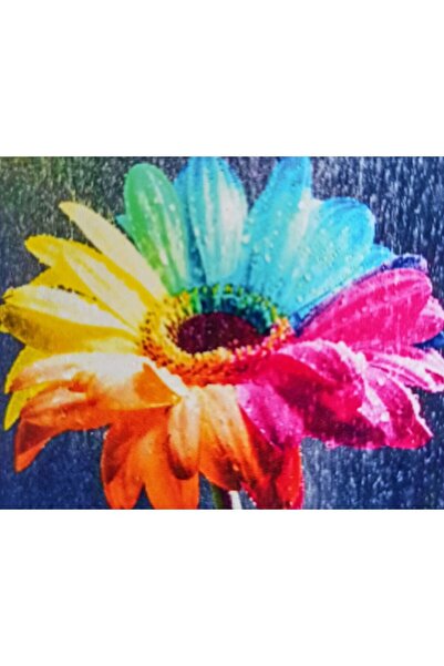 MENTAŞ Boncuklu Goblen 5d Taşlı Mozaik Elmas Goblen Diamond Picture Kıt 30x40...