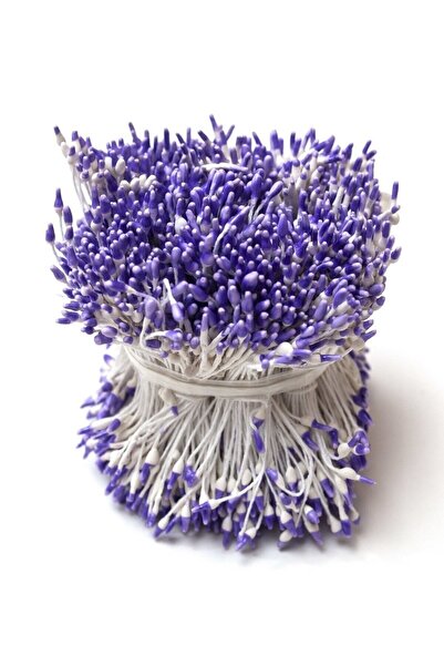 roco paper Çift Renk Plastik Tohum - Lila (20'li Bağ)