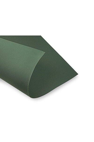 roco paper صناعة الزهور إيفا 2 مم50x140 سم - أخضر كاكي