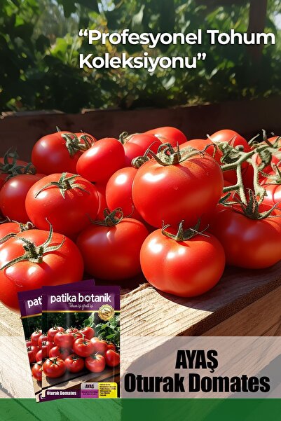 Patika Botanik 10 Adet Ayaş Domates Tohumu