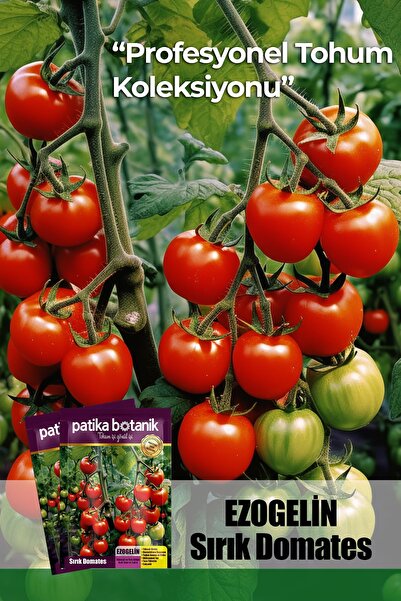 Patika Botanik 10 Adet Ezogelin Kiraz/Cherry Domates Tohumu-SIRIK