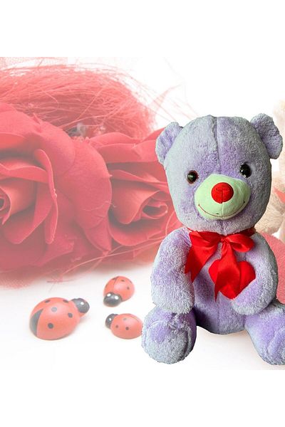 Sole Special Gift for Lover - 80 cm Cute Sitting Plush Bear Holding a Heart