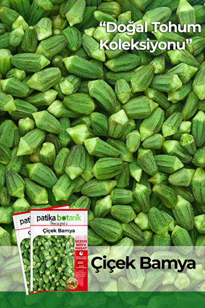 Patika Botanik 80 Adet Yerli Ata Çiçek Bamya Tohumu