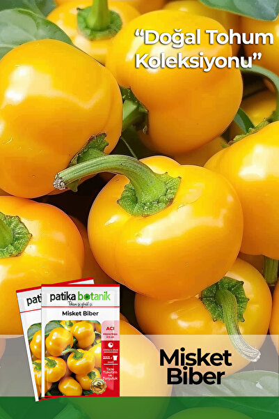 Patika Botanik 200 Adet Misket Biber Tohumu