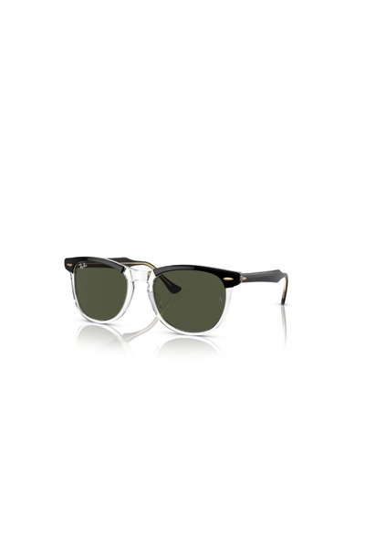 Ray-Ban RAYBAN RB2398 EAGLEEYE 1294/31