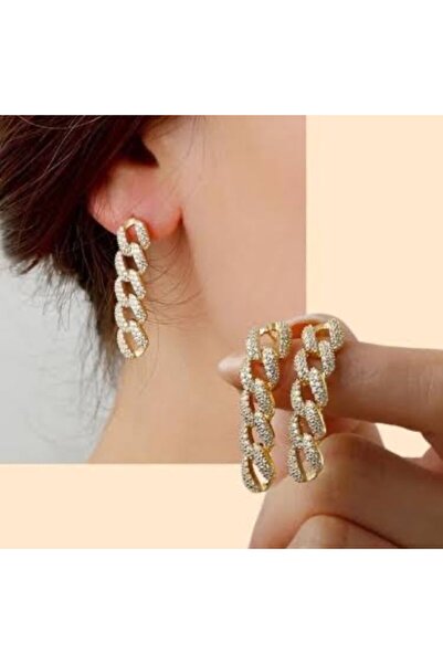 Accessories Gurmet Model Özel Seri Sallantılı Çelik Küpe