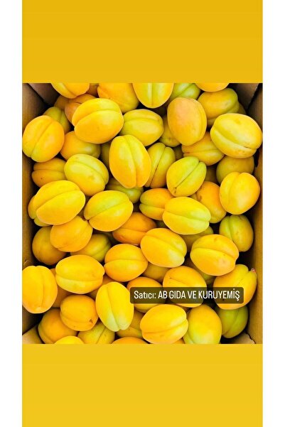 AB GIDA Malatya Kayısısı 2 kg