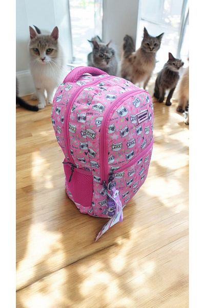 GENC DIJITAL BASKI Geantă de școală și prânz model Pink Kitty Cat