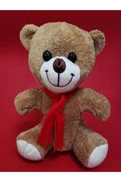 Aysmev Plush Teddy Bear--With Scarf