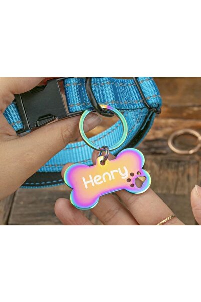 PATİMİO Isme Özel Çelik Kedi Köpek Isimlik Künyesi Rainbow